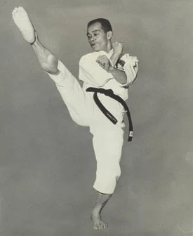 most famous Taekwondo practitioners