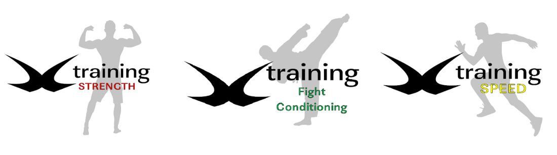 Can You Learn Martial Arts Online?