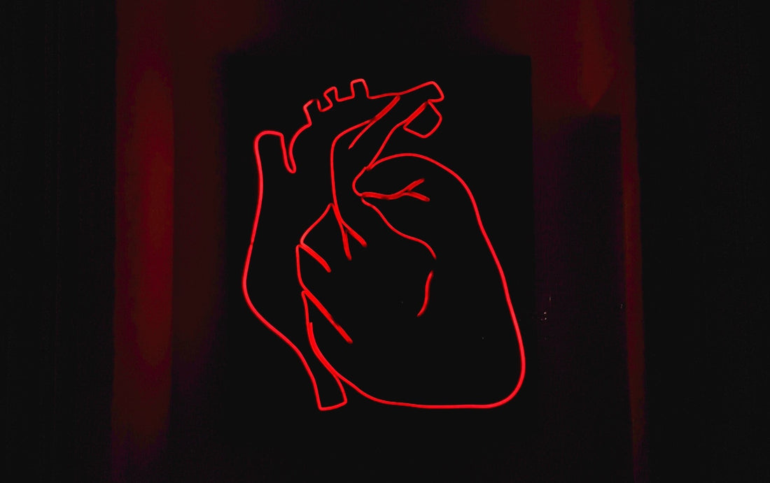 Why Martial Artists Have a Stronger Heart