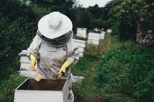 protective gear equipment