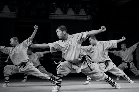 martial arts accounts to follow