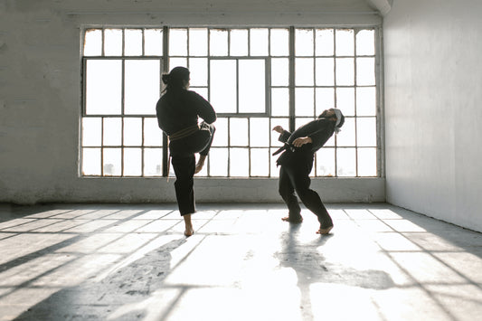 sparring shoes