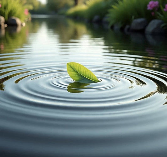 Ripples on Our Pond-In Memoriam