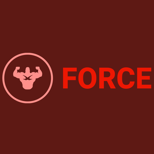 whistlekick Force - Strength and Conditioning