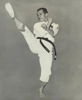 most famous Taekwondo practitioners