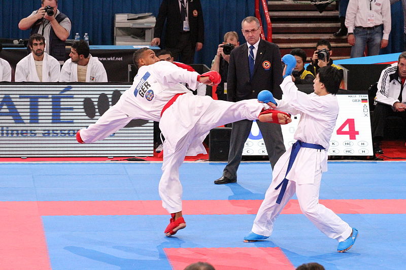 The 8 Most Popular Karate Styles Worldwide: A Global Perspective