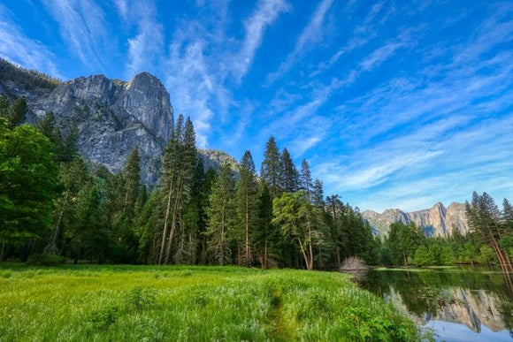 Top 5 Places you could train for martial arts