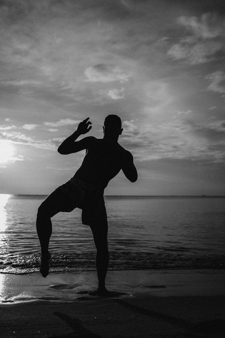 The Peak of True Martial Arts as a Personal Journey whistlekick
