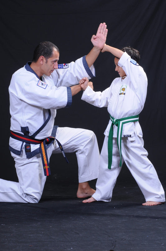 karate partner 