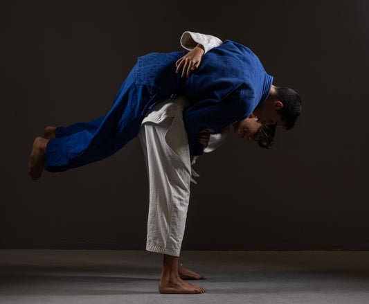 judo sparring gear
