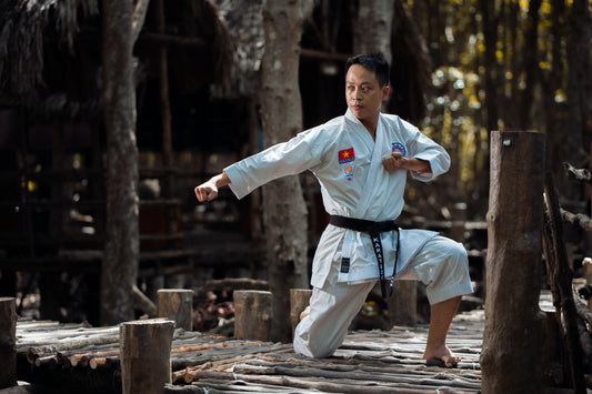 martial art travel