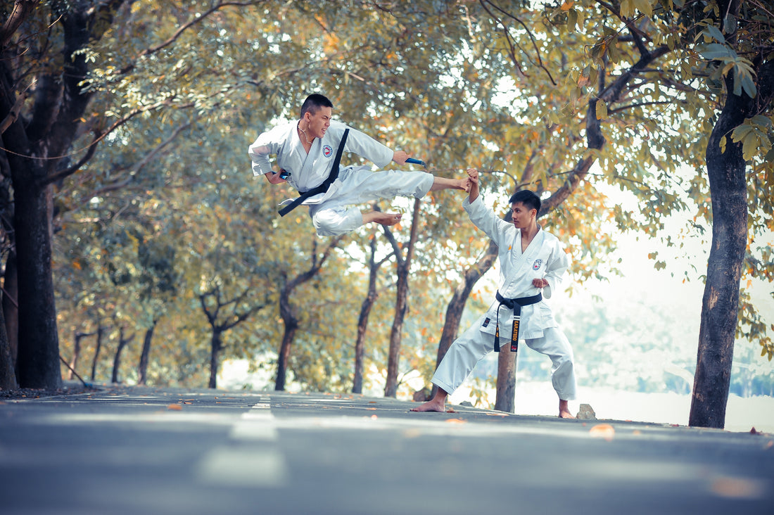 street fighting martial arts