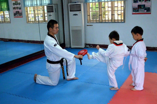 The Art of Teaching Martial Arts