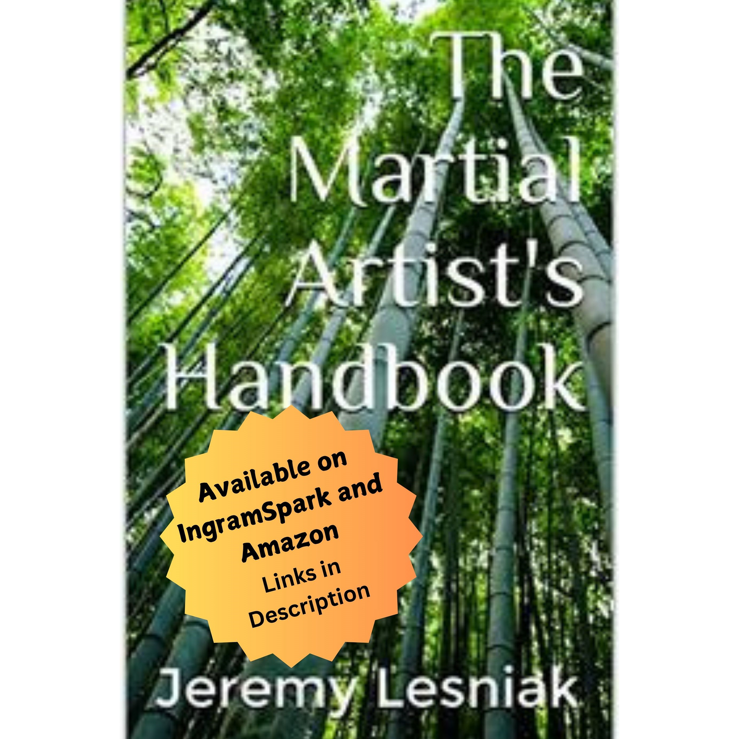 The Martial Artist's Handbook - First Edition - Available on IngramSpark and Amazon - Links in Description