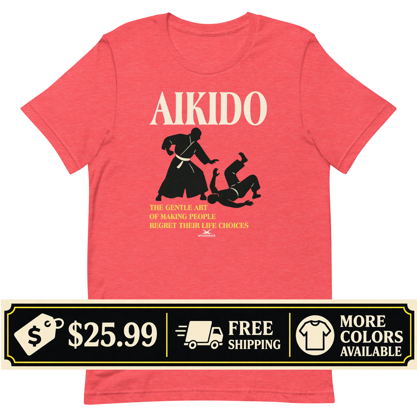 Aikido - The Art of Making People Regret Life Choices