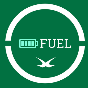 whistlekick Fuel - Fight Conditioning Program
